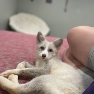 Meet your Posher, Camryn